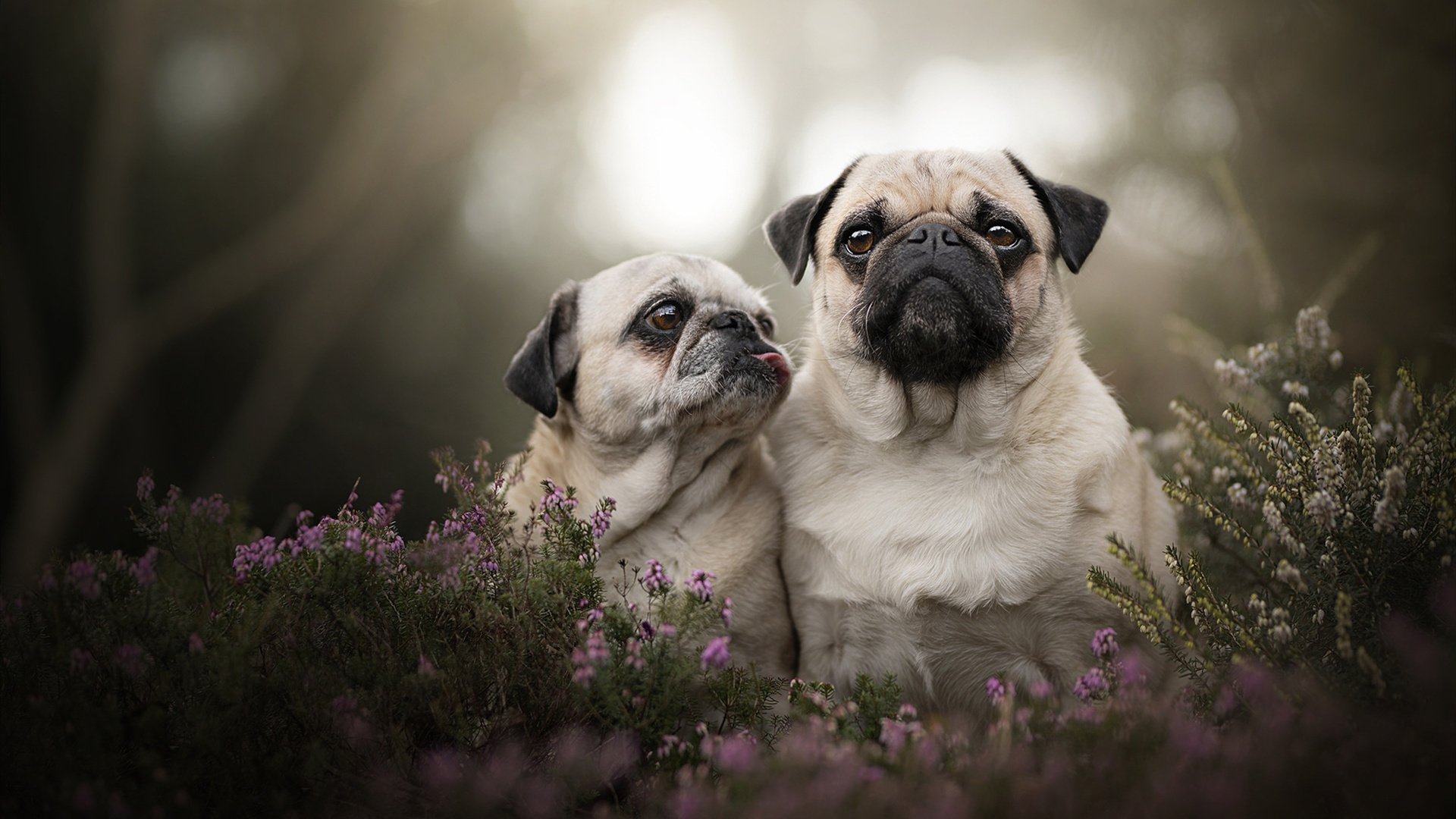 爱游戏登录入口-_标签:网球运动如何融入日常生活_,网球时如何锻炼